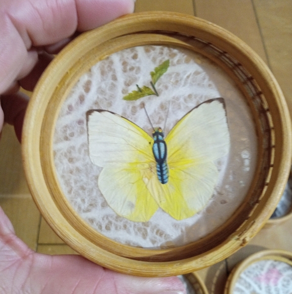 Vintage Decorative Bamboo and Rattan Pressed Butterfly Coasters Set of 4 - Picture 2 of 7